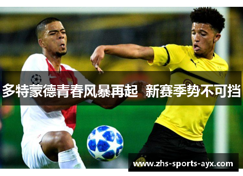 多特蒙德青春风暴再起  新赛季势不可挡